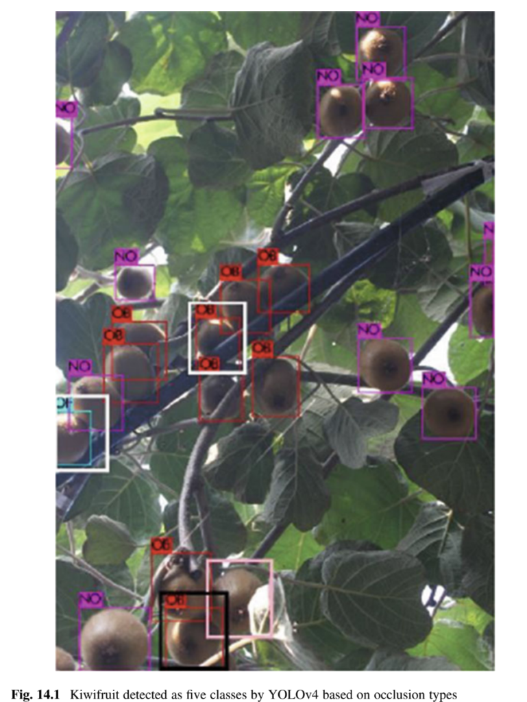 Intelligent Sensing and Robotic Picking of Kiwifruit in Orchard